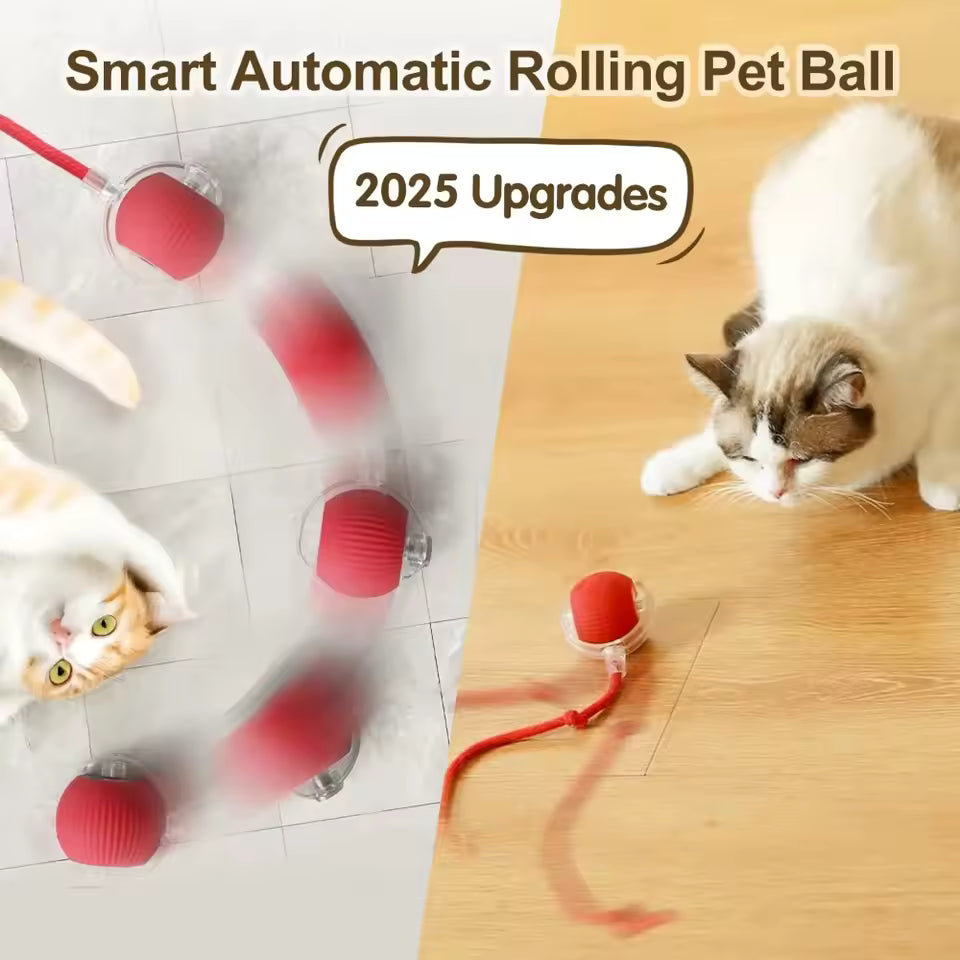 Cat Interactive Automatic Ball Toy