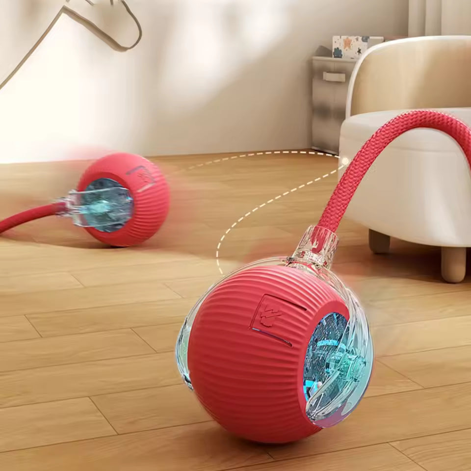 Cat Interactive Automatic Ball Toy