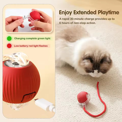 Cat Interactive Automatic Ball Toy