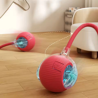 Cat Interactive Automatic Ball Toy